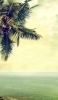 📱静寂の海と椰子の木 iPhone 12 mini 壁紙・待ち受け
