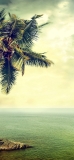 📱静寂の海と椰子の木 iPhone 13 mini 壁紙・待ち受け