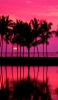 📱Pink sea and palm trees ROG Phone 3 Android 壁紙・待ち受け