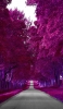 📱両端を紫の木々に囲まれた道 iPhone 12 mini 壁紙・待ち受け