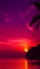 📱夕焼け ピンク 海 椰子の木 ビーチ Galaxy A30 Android 壁紙・待ち受け