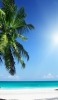 📱Sun emerald sea white sandy palm trees ZenFone 6 Android 壁紙・待ち受け