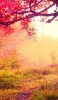 📱緑 赤 雑草 赤い葉の木 霧 iPhone 12 mini 壁紙・待ち受け
