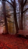 📱Cobblestone red autumn leaves foggy wooden bench ZenFone 6 Android 壁紙・待ち受け