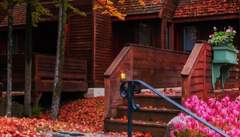 📱Green and red autumn leaves staircase house ROG Phone 3 Android 壁紙・待ち受け
