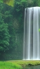 📱緑の雑草と川と綺麗な滝 Google Pixel 4a Android 壁紙・待ち受け