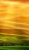 📱黄金色と緑色の田舎の風景 Google Pixel 4a Android 壁紙・待ち受け