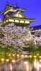 📱綺麗な姫路城と夜桜 iPhone 13 mini 壁紙・待ち受け