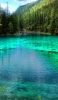 📱林と水色の湖 iPhone 12 mini 壁紙・待ち受け