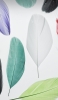 📱White background green / purple / yellow-green / black bird feathers ZenFone 6 Android 壁紙・待ち受け