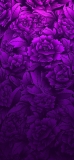 📱沢山の紫の薔薇 グラデーション iPhone 12 mini 壁紙・待ち受け
