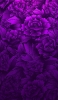 📱Illustration of purple flowers that fill the screen ZenFone 6 Android 壁紙・待ち受け