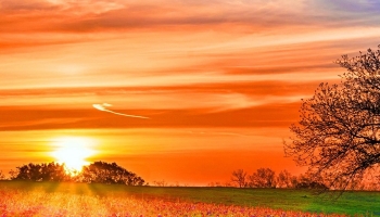 📱Blue / orange sky Purple flowering meadow ZenFone 6 Android 壁紙・待ち受け