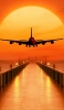 📱Airplane taking off at dusk RedMagic 5 Android 壁紙・待ち受け