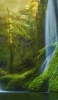 📱Mossy forests and waterfalls ROG Phone 3 Android 壁紙・待ち受け
