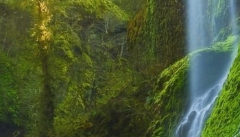 📱幻想的な森と滝と川 Google Pixel 5 Android 壁紙・待ち受け