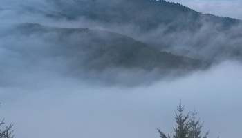 📱Sunrise sky fog forest ZenFone 6 Android 壁紙・待ち受け