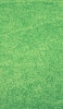 📱上から撮影した芝生 Google Pixel 5 Android 壁紙・待ち受け