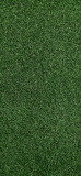 📱短く刈り取られた濃い緑の芝生 Google Pixel 5 Android 壁紙・待ち受け