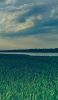 📱緑の草原と川と白い雲 Redmi Note 9T 壁紙・待ち受け