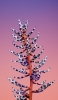 📱Orange stem white and purple flowers RedMagic 5 Android 壁紙・待ち受け