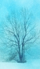 📱Light blue heavy snow dead tree ZenFone 6 Android 壁紙・待ち受け