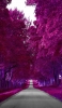 📱灰色の道と紫の並木道 iPhone X 壁紙・待ち受け