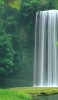📱川と滝と緑の自然 iPhone XS 壁紙・待ち受け