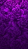 📱画面いっぱいの紫の花 iPhone XS 壁紙・待ち受け