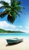📱綺麗な海と水色のボートと椰子の木 iPhone XS 壁紙・待ち受け