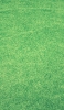 📱整備された緑の芝生 iPhone X 壁紙・待ち受け