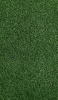 📱画面一面の緑の芝生 iPhone XS 壁紙・待ち受け