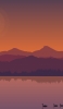📱夕焼けのグラデーション 湖を泳ぐ白鳥 iPhone XS 壁紙・待ち受け