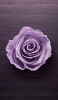 📱紫の薔薇 iPhone X 壁紙・待ち受け
