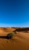 📱サハラ砂漠と青空と草 iPhone XS 壁紙・待ち受け