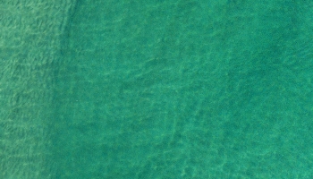 📱緑の海とカヌー iPhone XS 壁紙・待ち受け