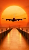📱赤い夕陽と飛行機 iPhone 12 壁紙・待ち受け