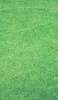 📱綺麗に刈り取られた芝生 iPhone 12 壁紙・待ち受け