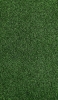 📱綺麗に整備された濃い緑の芝生 iPhone 12 Pro 壁紙・待ち受け
