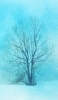 📱青い冬 雪と枯れ木 iPhone 13 壁紙・待ち受け