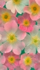 📱水滴のついたピンク・白の花 iPhone 13 Pro 壁紙・待ち受け