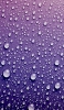 📱大量の水滴がついた紫のガラス iPhone 13 Pro 壁紙・待ち受け