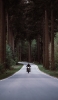 📱森の道路を疾走するバイク iPhone 12 Pro 壁紙・待ち受け