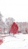 📱冬景色と赤い木 iPhone 13 壁紙・待ち受け