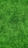 📱綺麗な緑の芝 iPhone 13 壁紙・待ち受け