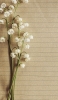 📱茶色のノートと可愛い白い花 iPhone 13 Pro 壁紙・待ち受け