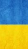 📱青と黄色 2分割 ウクライナの国旗 iPhone 12 Pro 壁紙・待ち受け