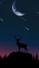 📱月 丘の上の鹿と流星 iPhone 12 壁紙・待ち受け