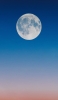 📱綺麗な青とオレンジのグラデーションの空 兎 満月 iPhone 12 Pro Max 壁紙・待ち受け