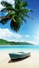 📱浜辺にある水色のボートと椰子の木 iPhone 12 Pro Max 壁紙・待ち受け